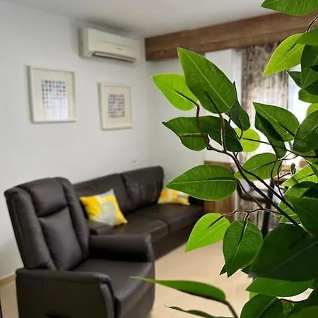 Apartment Encantador Apartamento Centro